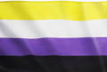 Non Binary Flag
