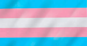 Trans Flag