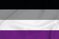 Asexual Flag