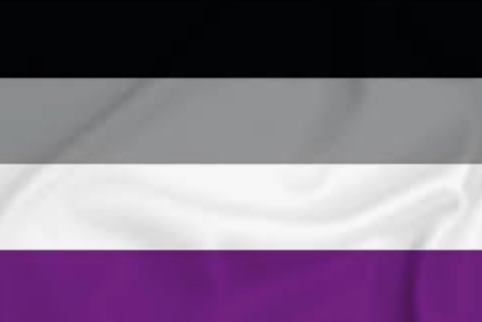 Asexual Flag