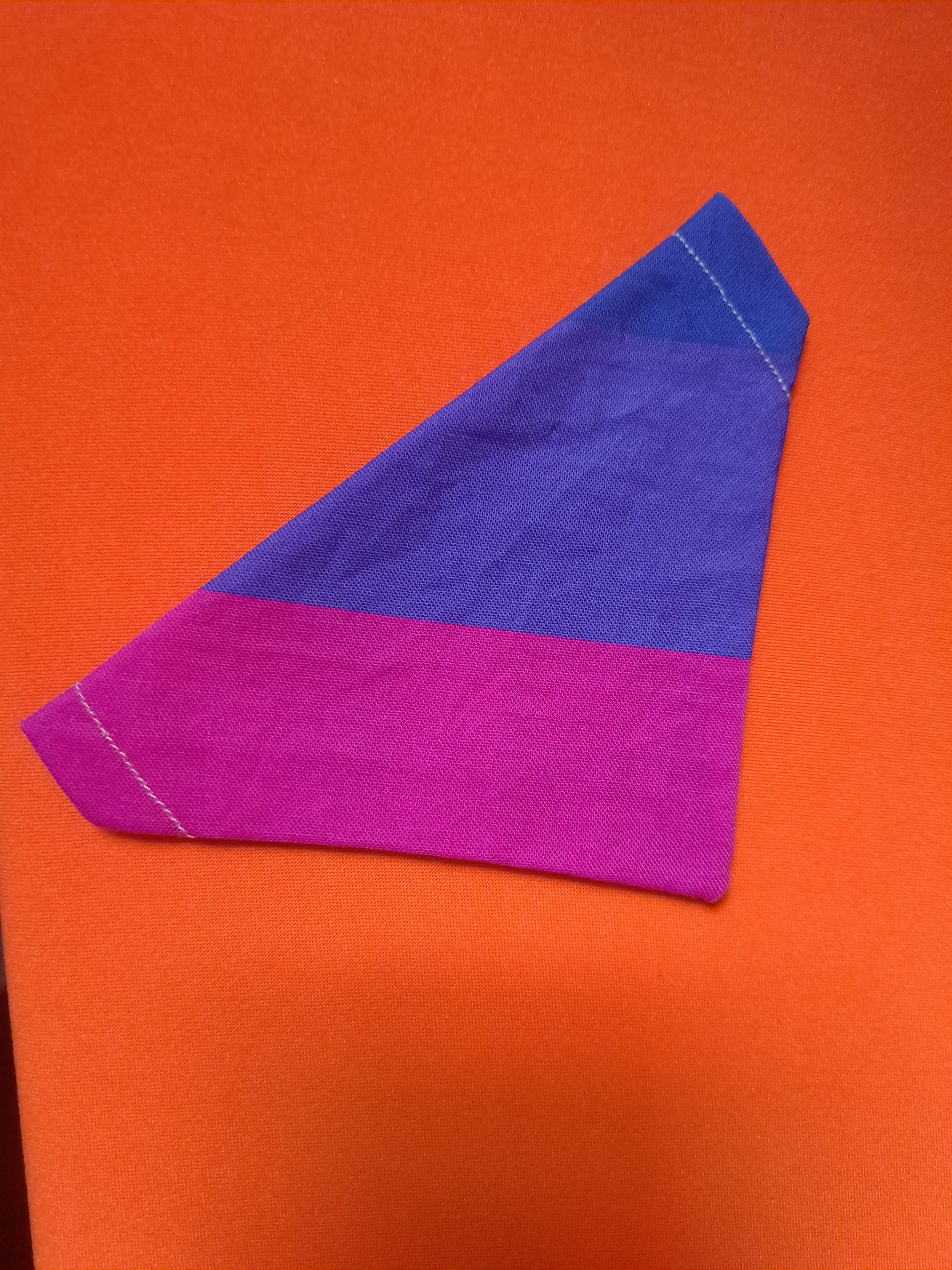 Bi dog bandana