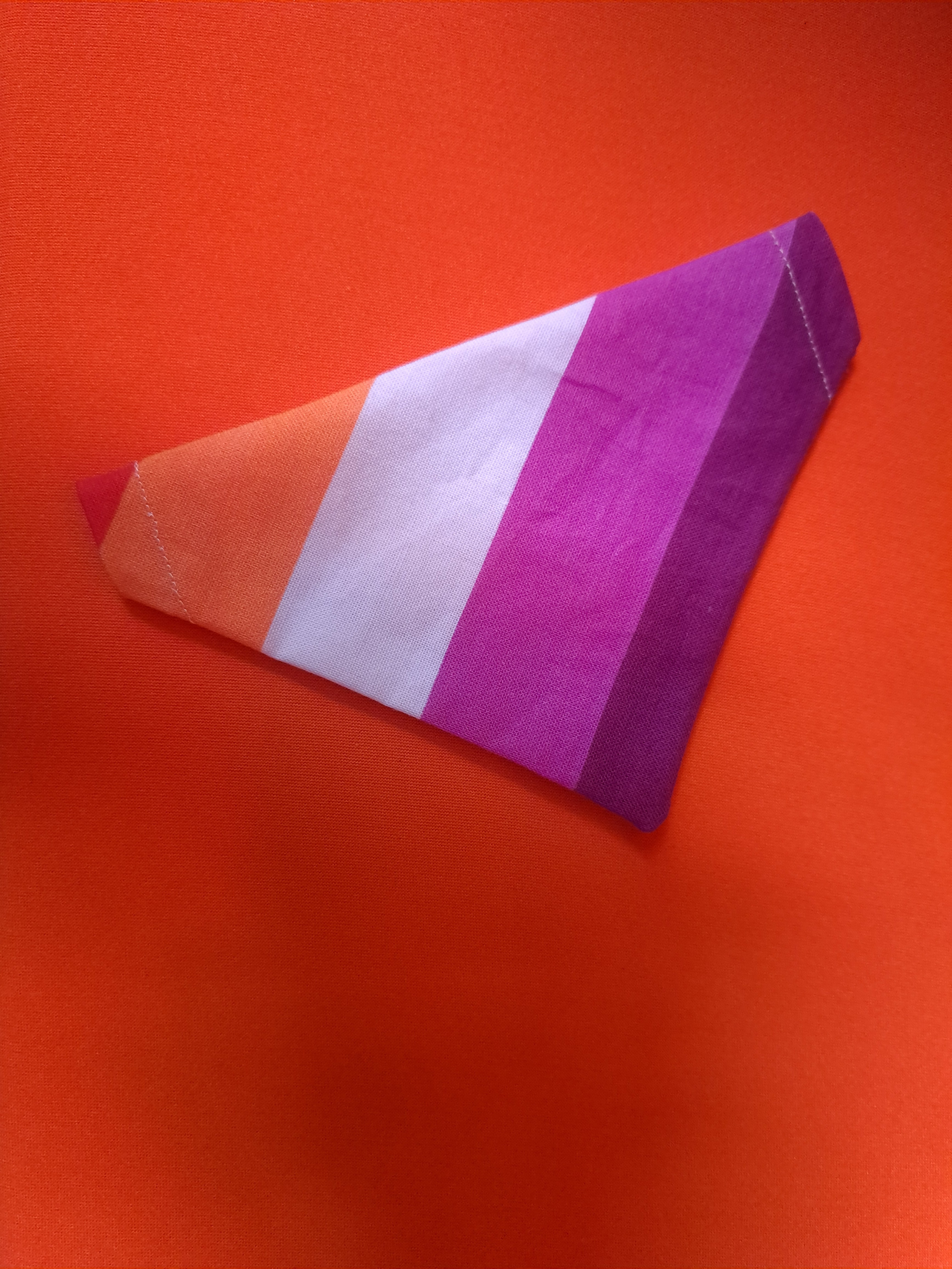 Lesbian dog bandana