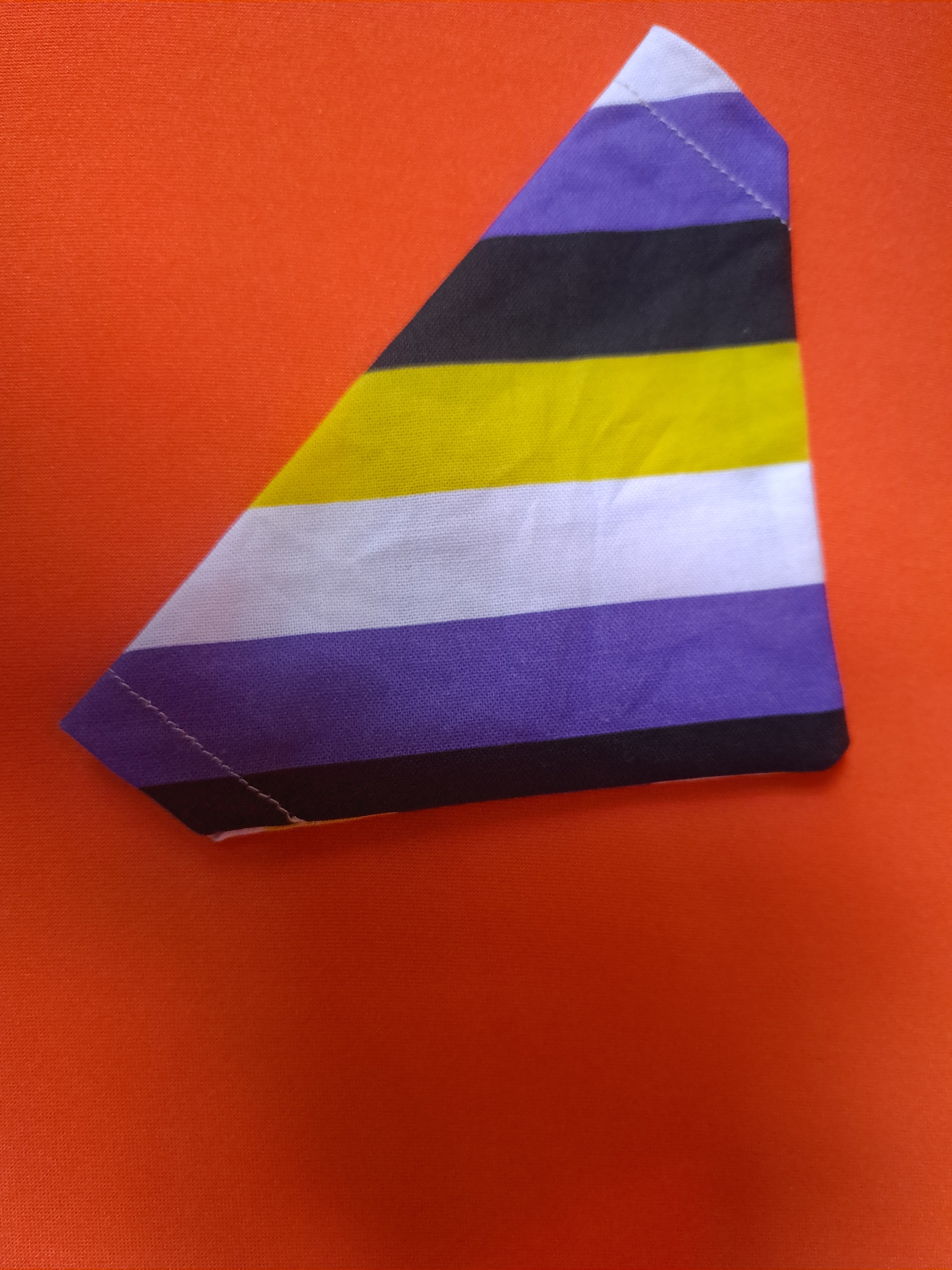 Non Binary dog bandana