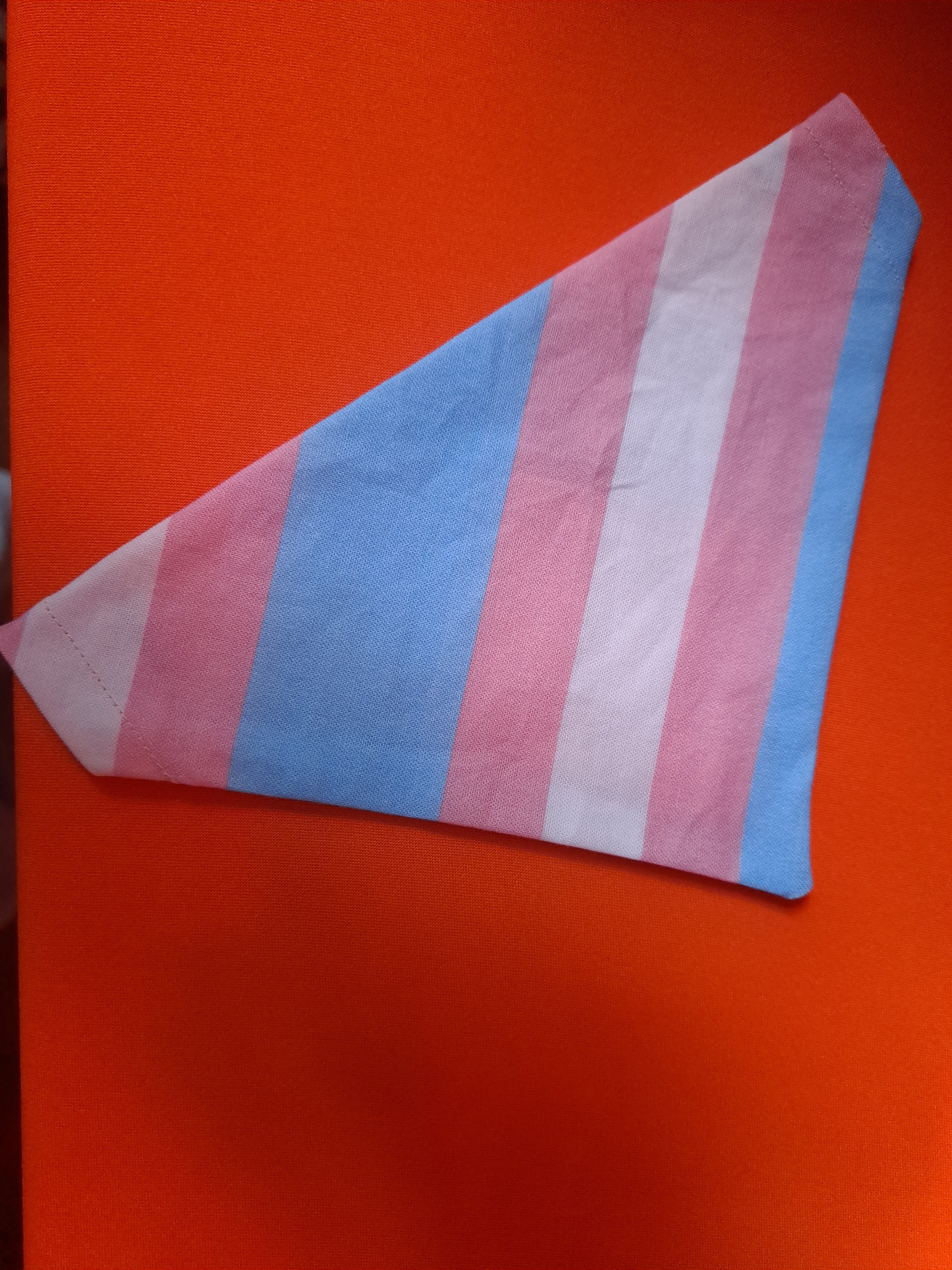 Trans dog bandana